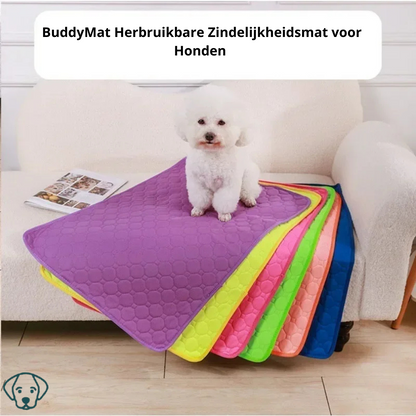 BuddyMat Wiederverwendbare Töpfchen-Trainingsmatte für Hunde – Langlebig und saugfähig (Leuchtende Farben)