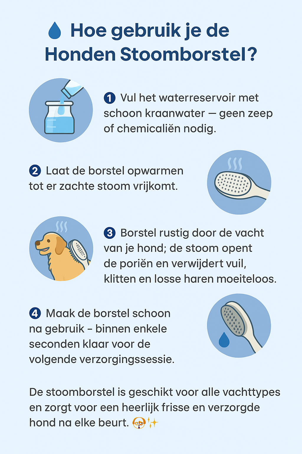 Dampfbürste für Hunde – Tiefenreinigung und Pflege in Einem