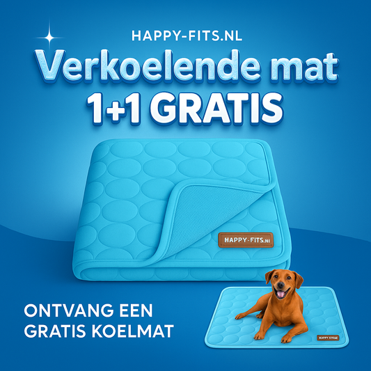 Kølemåtte til hunde – Køling på varmere dage