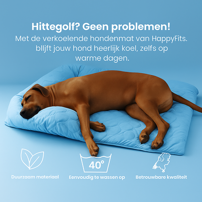Kühlmatte für Hunde – Abkühlung an wärmeren Tagen