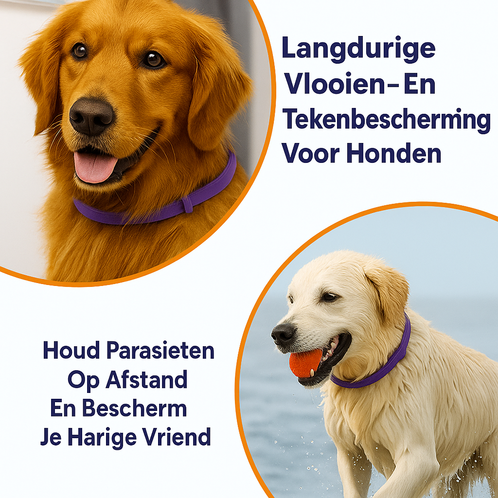 Anti Vlooien- en Tekenband – Natuurlijke Bescherming tot 8 Maanden