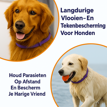 Anti Vlooien- en Tekenband – Natuurlijke Bescherming tot 8 Maanden
