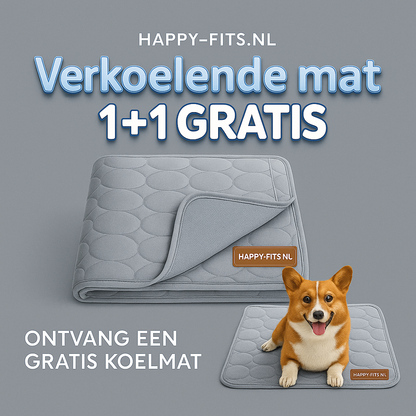 Kühlmatte für Hunde – Abkühlung an wärmeren Tagen