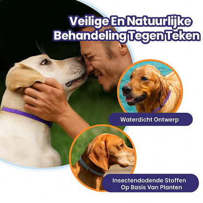 Anti Vlooien- en Tekenband – Natuurlijke Bescherming tot 8 Maanden