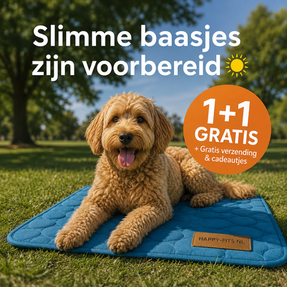 Hundekühlmatte – Abkühlung an wärmeren Tagen | 1+1 GRATIS