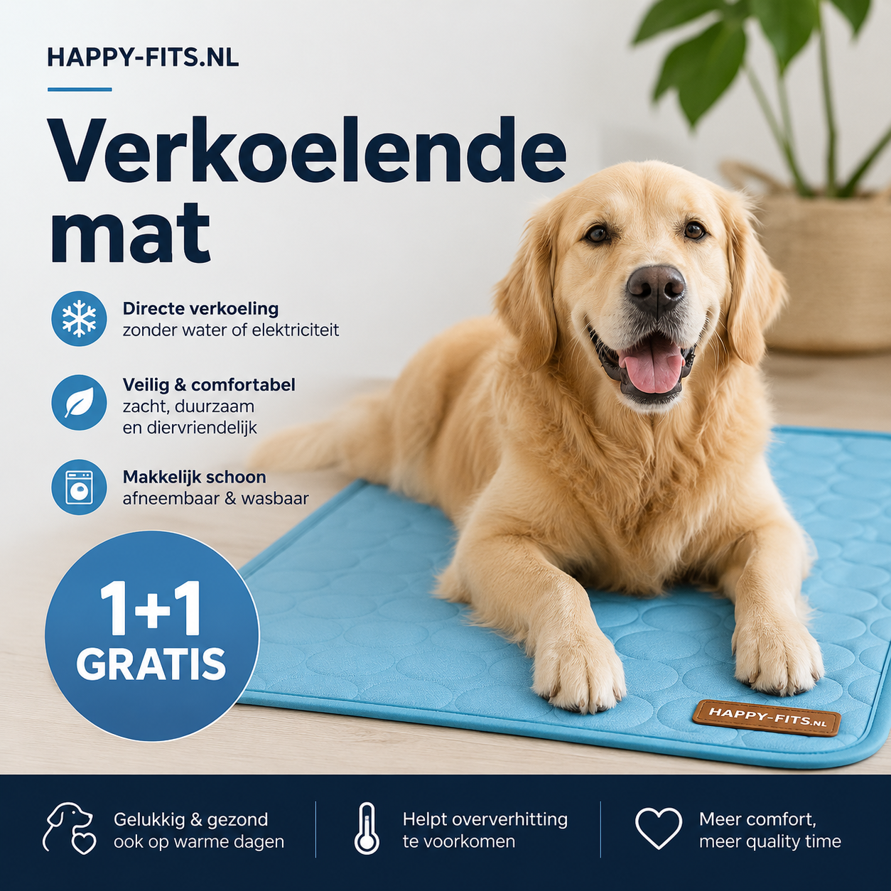 Hundekühlmatte – Abkühlung an wärmeren Tagen | 1+1 GRATIS