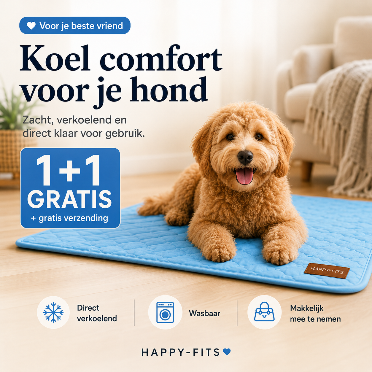 Hundekühlmatte – Abkühlung an wärmeren Tagen | 1+1 GRATIS