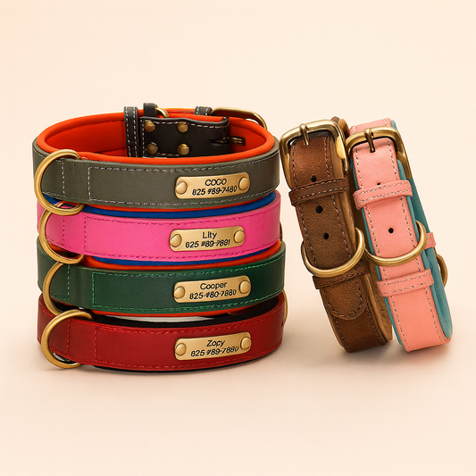 Luxuriöses personalisiertes Halsband – Einzigartig und stilvoll für Ihren Hund