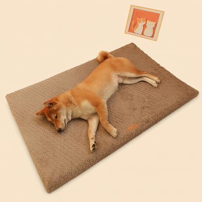 Luxus-Hundekissen – Ultimativer Komfort und Stil für Ihren Hund