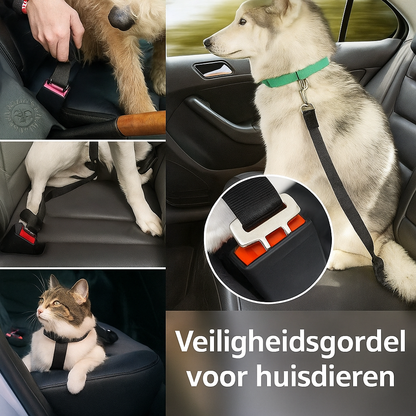 Verstellbarer Autosicherheitsgurt