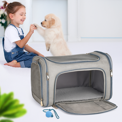 Honden Reistas Vliegtuig Goedgekeurd – Veilig & Comfortabel Reizen