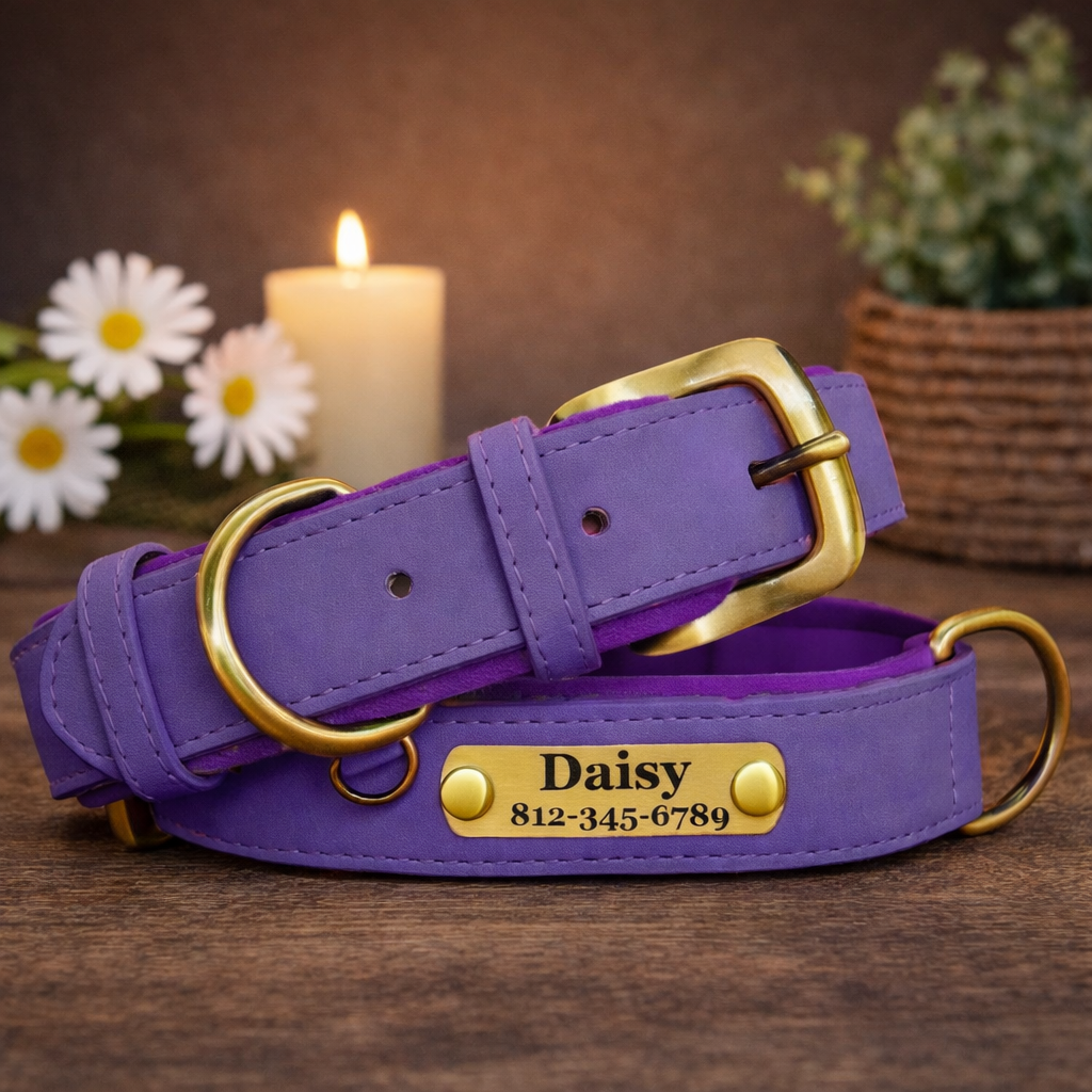 Hondenhalsband Luxe Gepersonaliseerd – Uniek & Stijlvol