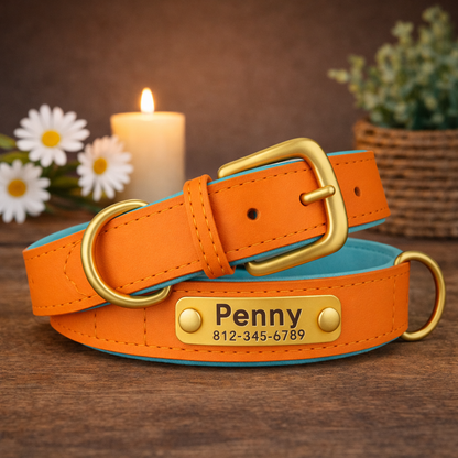 Hondenhalsband Luxe Gepersonaliseerd – Uniek & Stijlvol