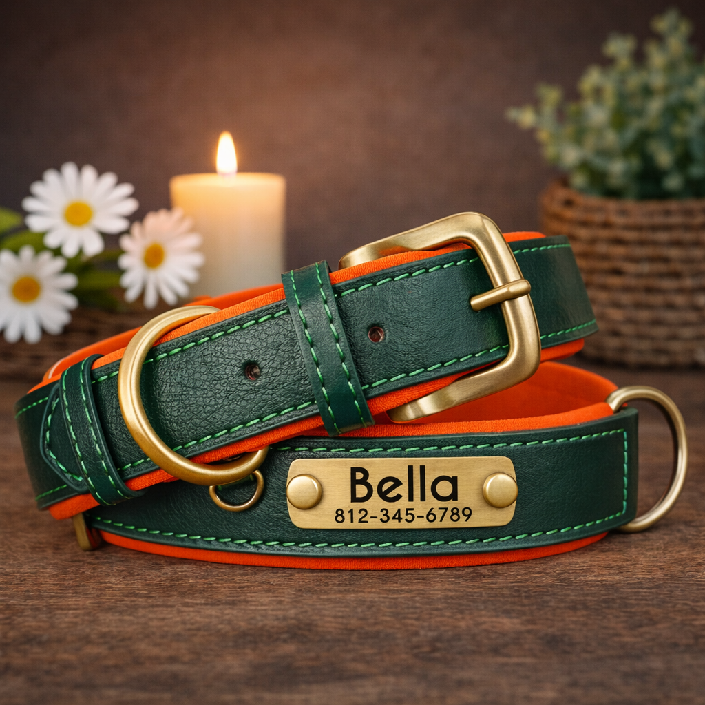 Hondenhalsband Luxe Gepersonaliseerd – Uniek & Stijlvol