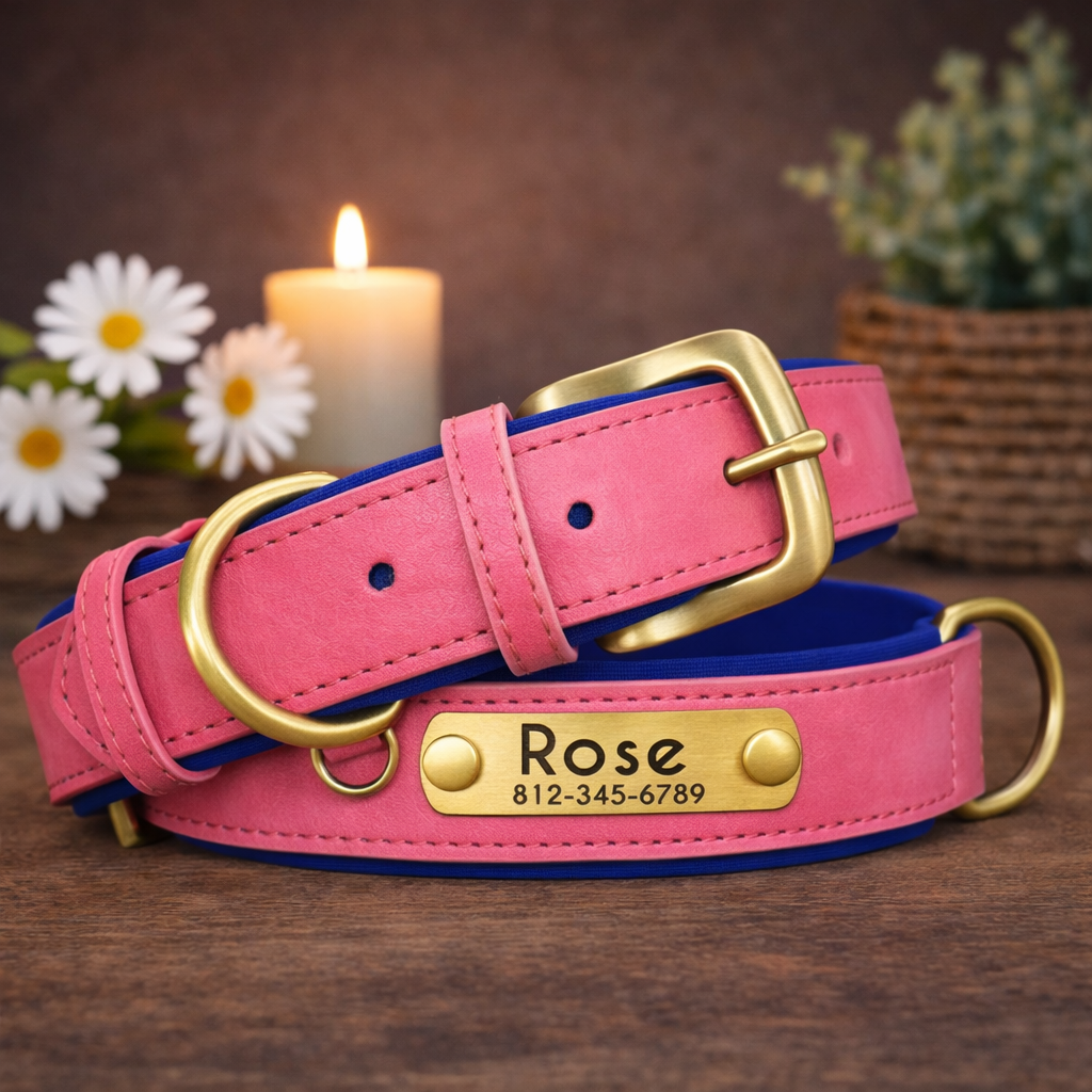 Hondenhalsband Luxe Gepersonaliseerd – Uniek & Stijlvol