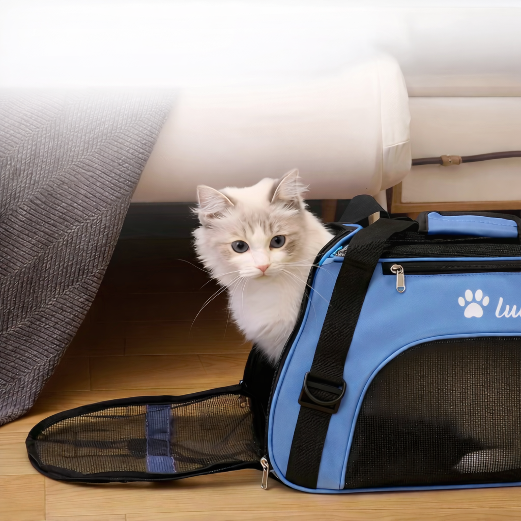 Hundereisetasche – personalisiert & praktisch für unterwegs