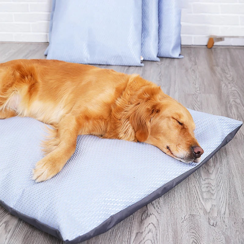 Koel Kussen voor Huisdieren – Comfortabele Verkoeling voor je Hond