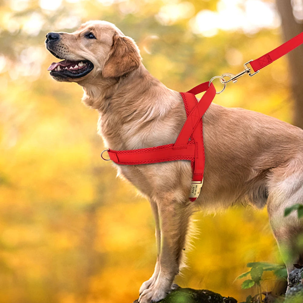 Luksus personlig hundesele - Blød, reflekterende og behagelig