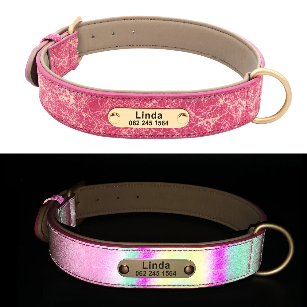 Spezielles Reflektorhalsband – Sicherheit und Stil für Ihren Hund