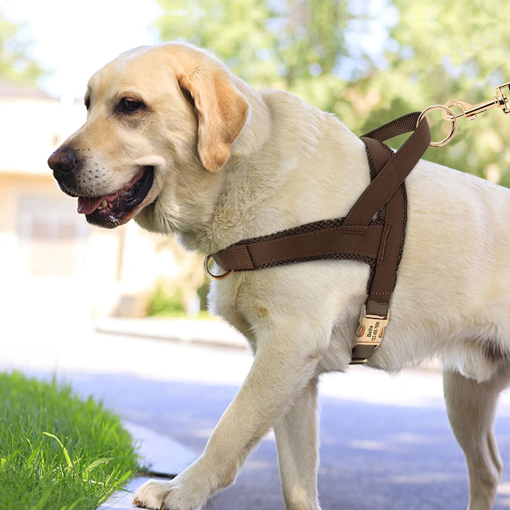 Luksus personlig hundesele - Blød, reflekterende og behagelig