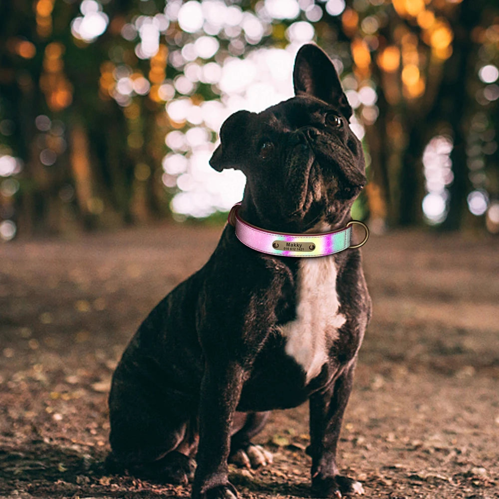 Spezielles Reflektorhalsband – Sicherheit und Stil für Ihren Hund