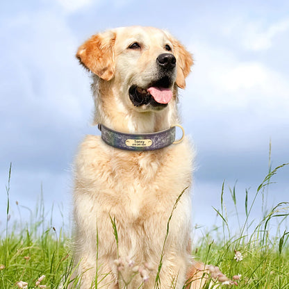 Spezielles Reflektorhalsband – Sicherheit und Stil für Ihren Hund