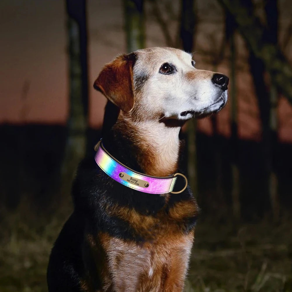 Spezielles Reflektorhalsband – Sicherheit und Stil für Ihren Hund