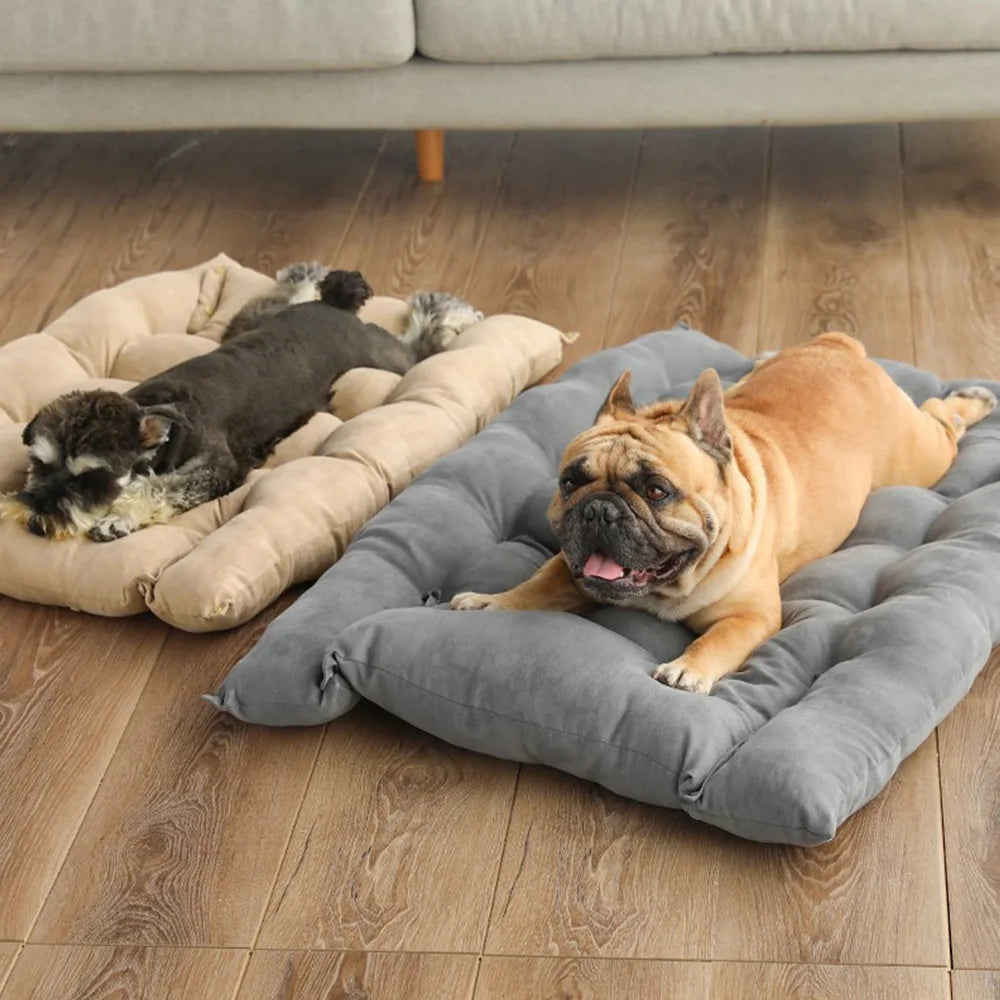 Multifunktionel hundeseng – Komfort og fleksibilitet til din hund