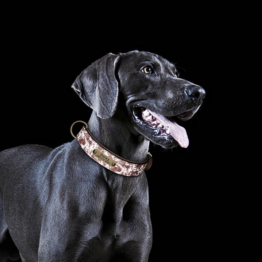 Spezielles Reflektorhalsband – Sicherheit und Stil für Ihren Hund