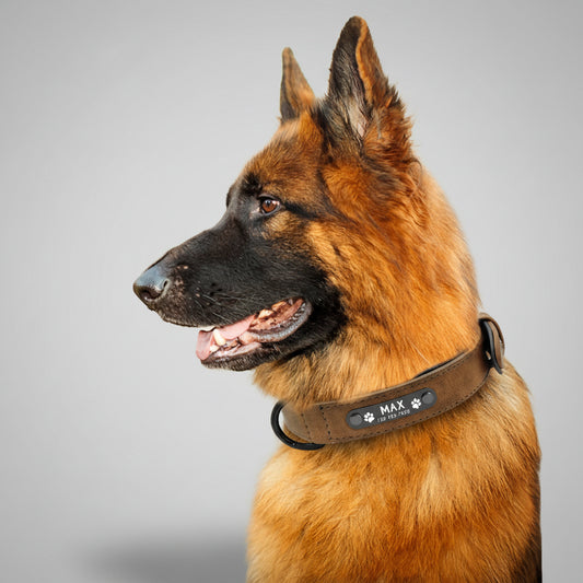 Hondenhalsband – Leer, Gepersonaliseerd & Tijdloos Design