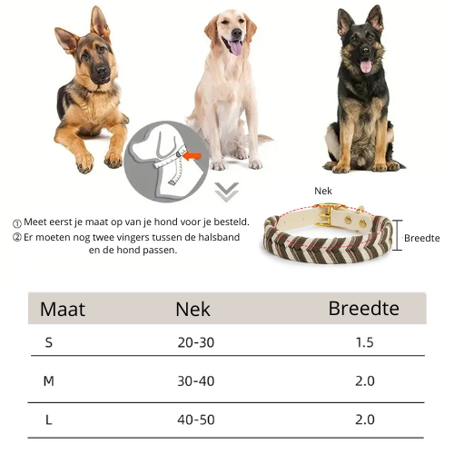 Handgefertigtes Hundehalsband – Einzigartig und nachhaltig