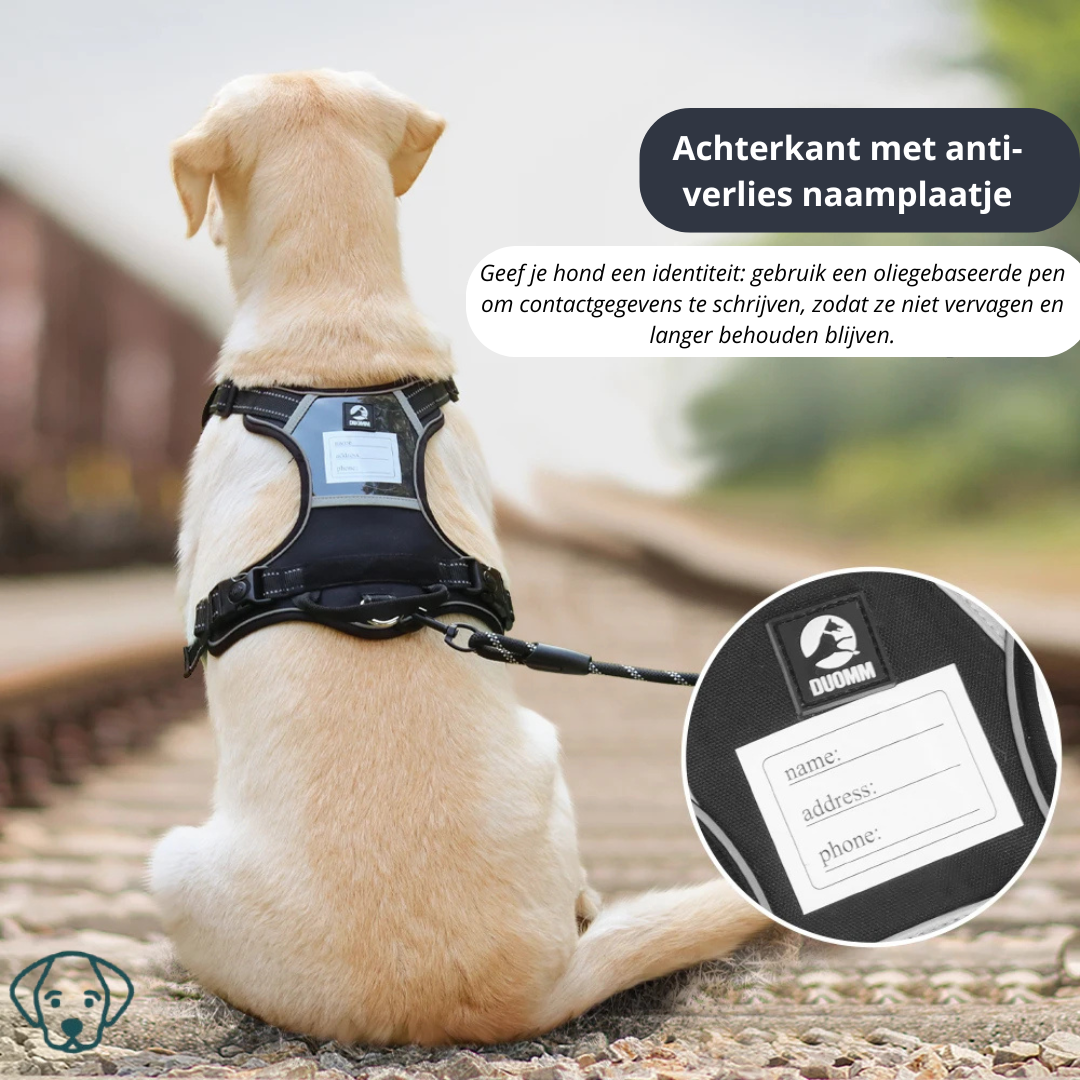 Sele med navneskilt – Sikker og stilfuld til din hund