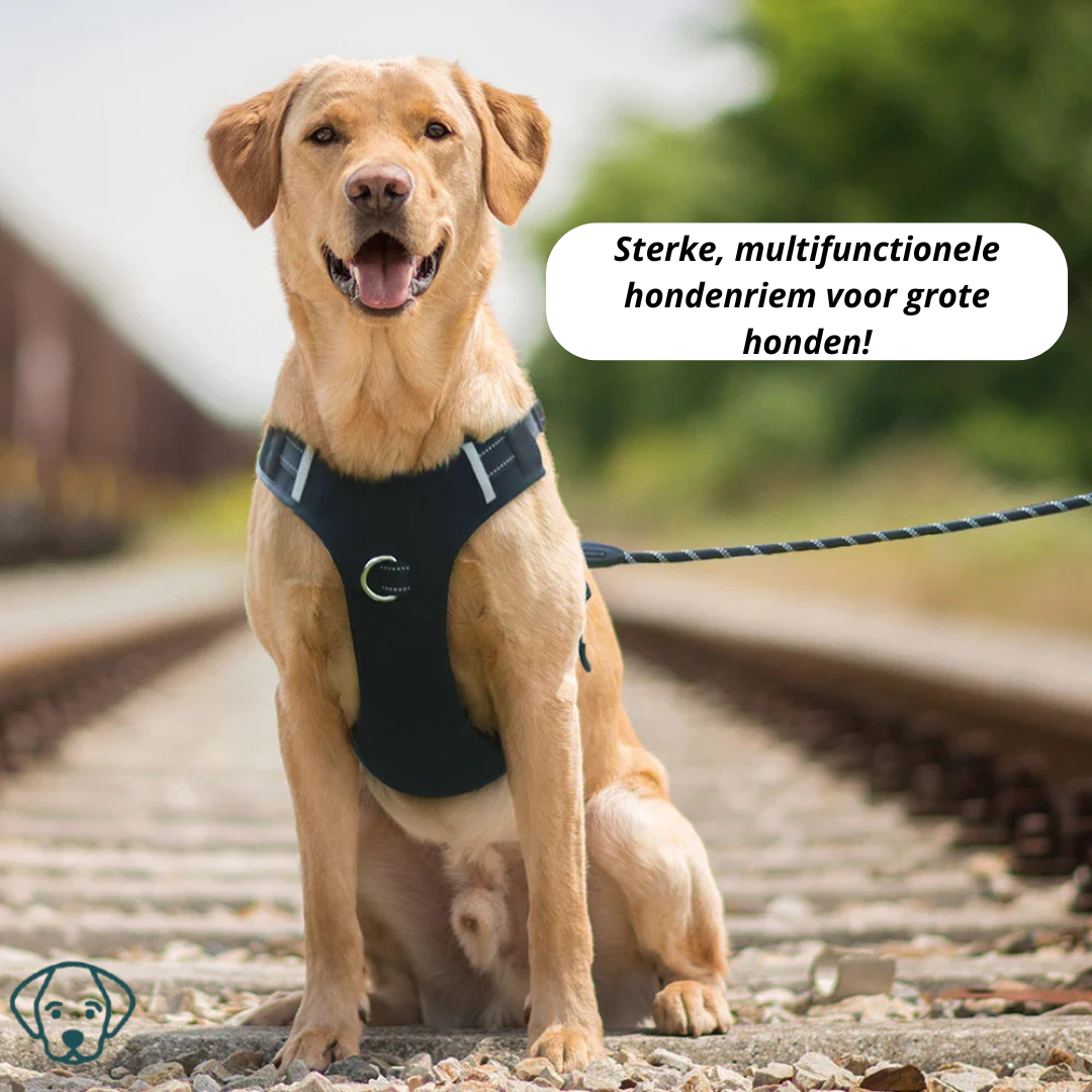 Sele med navneskilt – Sikker og stilfuld til din hund