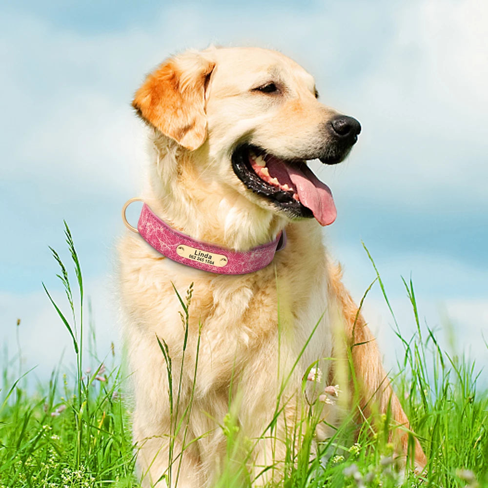 Spezielles Reflektorhalsband – Sicherheit und Stil für Ihren Hund