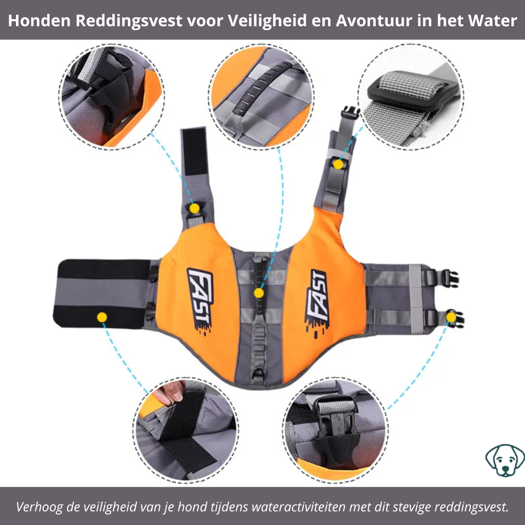 Hundeschwimmweste für Sicherheit und Abenteuer im Wasser