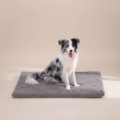 Hondenkussen Orthopedisch – Luxe, Comfort & Design