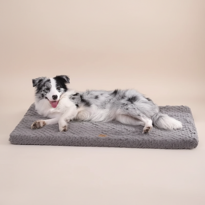Hondenkussen Orthopedisch – Luxe, Comfort & Design