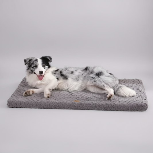 Hundekissen Orthopädisch – Luxus, Komfort & Design