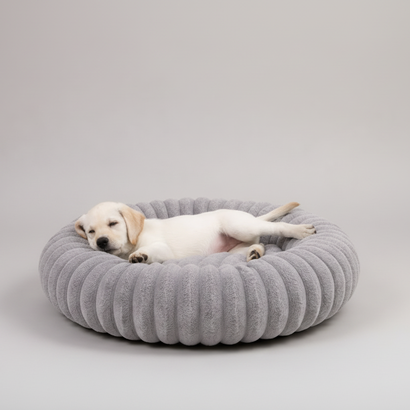 Hundebett Luxus – Bequem und stilvoll für Ihren Hund