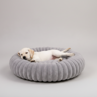 Hundebett Luxus – Bequem und stilvoll für Ihren Hund