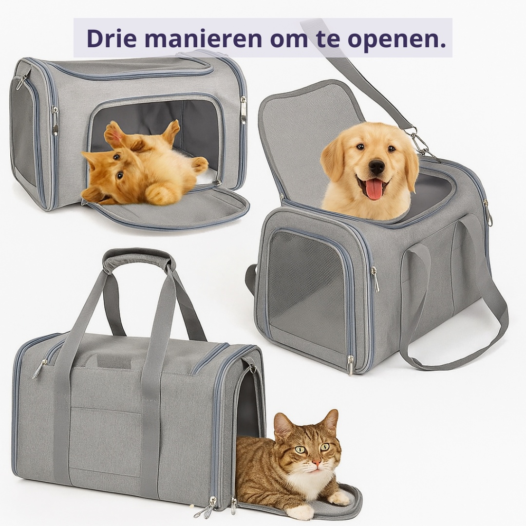 Honden Reistas Vliegtuig Goedgekeurd – Veilig & Comfortabel Reizen