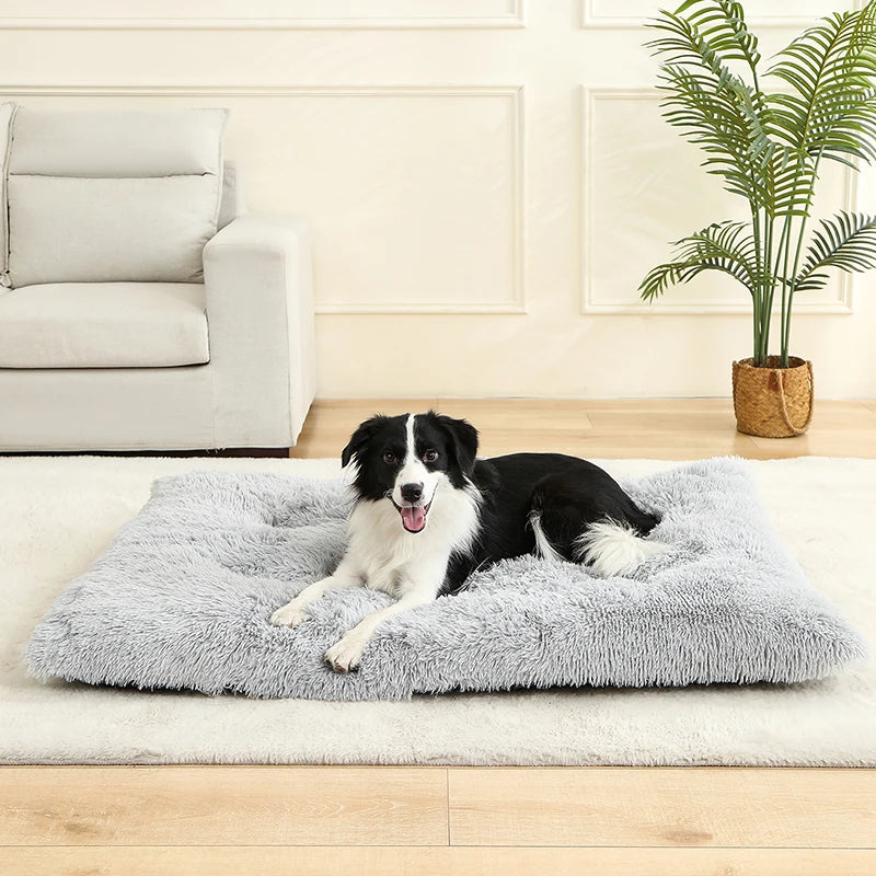 Blød hundeseng – Komfort og varme til din hund
