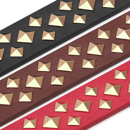 Cooles personalisiertes Halsband – Robust &amp; Einzigartig