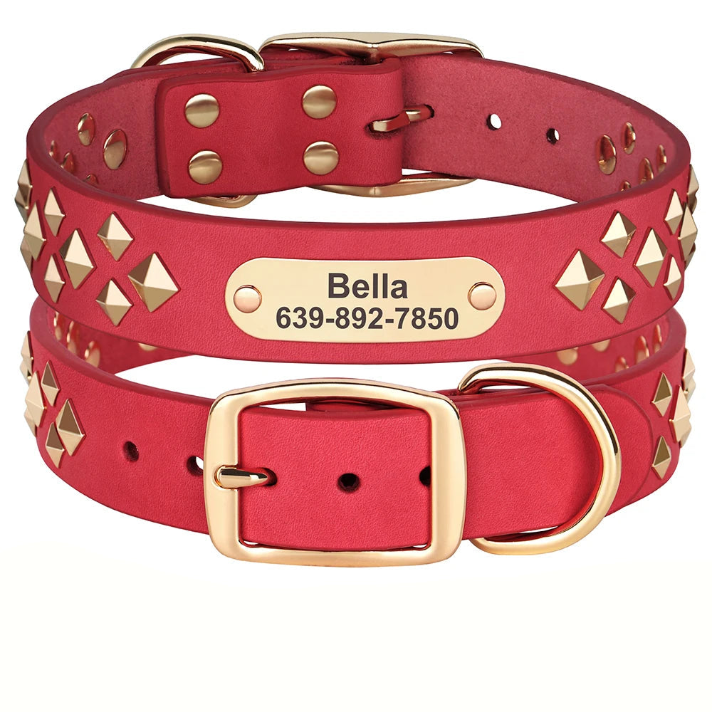 Cooles personalisiertes Halsband – Robust &amp; Einzigartig
