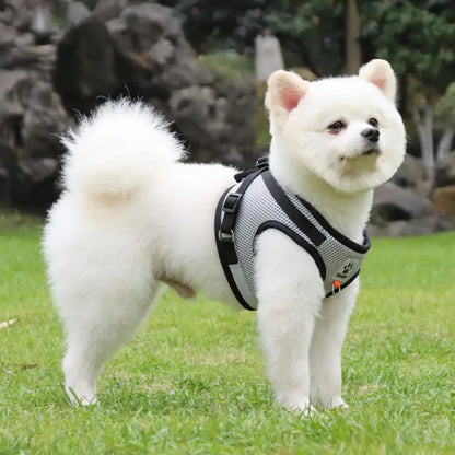 Farverig hundesele – Komfort og stil til din hund