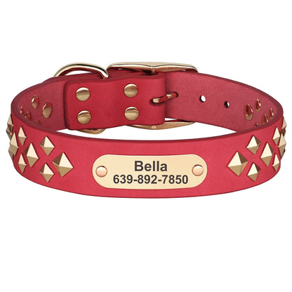 Cooles personalisiertes Halsband – Robust &amp; Einzigartig