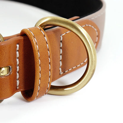 Spezielles Reflektorhalsband – Sicherheit und Stil für Ihren Hund