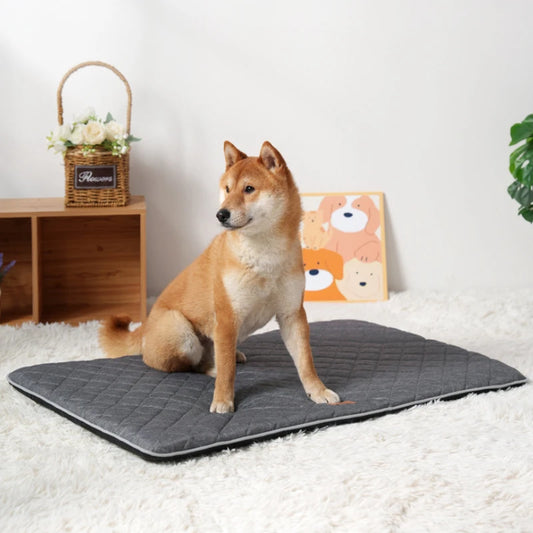 Comfortabele Hondenbedmat – Zacht, Wasbaar en Past Overal