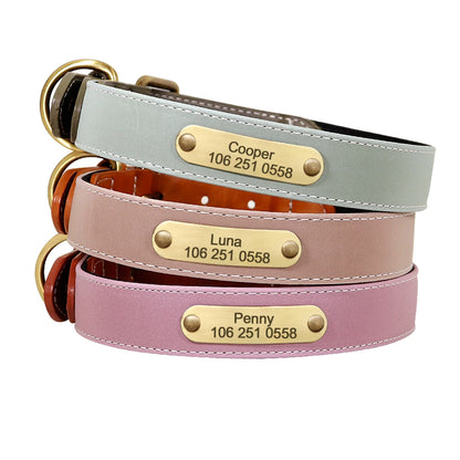 Spezielles Reflektorhalsband – Sicherheit und Stil für Ihren Hund