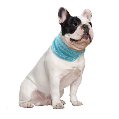 Honden Bandana - Koel, Zomers & Trendy